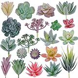 CEWOR Künstliche beflockte Sukkulenten, Mini-Sukkulenten, Premium-Dekoration für Heimwerker, Basteln, Zuhause, Blumenwand, Garten, Arrangement, Bürodekoration (ungetopft), 20 Stück