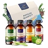 Warmwald - Saunaaufguss - Sauna Aufgussmittel mit natürlichen ätherischen Ölen - Saunaöl - Saunaduft (QUARTETT - 4 x 100ml)