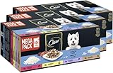 CESAR® Portionsbeutel Multipack Senior Selektion in Gelee 4 Varietäten 3 x 40 x 100g