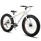 Hiland 26 Zoll Fat Tire Mountainbike für Jungen und Mädchen, 7-Gang Mountainbike, Doppelscheibenbremse, Strand und Schnee Fahrrad, Silber