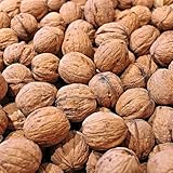 Paul´s Mühle Walnüsse in Schale Speisequalität 5 kg...