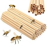 52 Stück Nisthülsen für Insektenhotel Füllmaterial, Niströhren für Wildbienen Bambusrohre, 8 mm x 20 cm Lang Niströhren für Bienenhotel Nisthilfen für Wildbienen Bienenhaus Zubehör