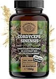 Cordyceps Kapseln -1400mg je Tagesdosis- WICHTIG: 10:1 Extrakt (=14000mg Cordyceps je Dosis) +40% bioaktiven Polysacchariden I 180 Cordyceps Kapseln (CS4 Extrakt) -DE- SCHEUNENGUT®