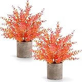 Coferset Künstliche Pflanzen, Herbstpflanzen, 35,6 cm, Eukalyptus, künstliche Pflanzen, Herbstdekorationen für Zuhause, Regal, Büro, Badezimmer, Schreibtisch, Bauernhaus, Zimmer, Couchtisch