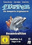 Flipper Gesamtedition - Die komplette Originalserie (Staffeln 1-3) (Fernsehjuwelen) [12 DVDs]