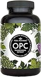 OPC Traubenkernextrakt – 240 Kapseln mit 1000mg OPC...