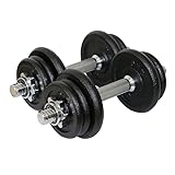 Sporttrend 24® Verstellbares Kurzhantel Set 10 kg, 15 kg, 20 kg, 30 kg, 40 kg | Hantelset, Hantel, Kurzhanteln mit Sternverschlüssen (Schwarz-Silber, Kurzhantel Set 10 kg + 2 Hantelstangen)