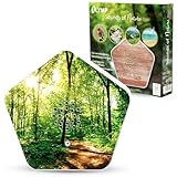 Olymp Sounds of Nature Box | Naturklänge für Entspannung & Ruhe | Soundbox mit Vogelgesang, Bachgeflüster, Bergwiesen, Meeresrauschen | Musikbox mit Bewegungssensor & individueller Lautstärkeregelung