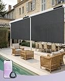 Graywind Elektrische Außenrollo Senkrechtmarkise, Wasserdicht UV-Schutz Smart Sonnenschutzrollo, Solarbetrieben Balkonrollo mit Fernbedienung Kompatibel Alexa Google (100 * 240cm, 1% Black)
