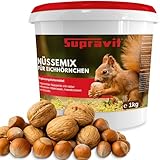 Supravit Frische Nüsse-Mix Eichhörnchen Futter 1kg | Futter für Eichhörnchen mit Haselnüsse, Walnüsse mit Schale für Eichhörnchen | Ganzjähriges Eichhörnchenfutter