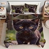 TMMDH Daunendecke 240x220 Winter Bettdecke - Schwarze Katze 4 Jahreszeiten Bettdecken Tier Ohne Bezug Nutzbar, Super Weiche Bettzeug Microfaser mit 2 Kissenbezug für Sommer Winter Doppelbett