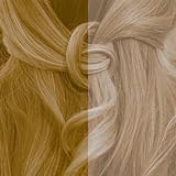 Profi-Pflanzenhaarfarbe SET kühles Sahara-Blond 'cool sahara blond in 2-Steps'