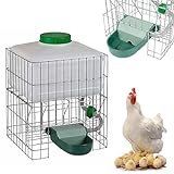 Breker Automatische Hühnertränke Metall 10 Liter - Wasserspender mit Filtersystem - Trinkbrunnen für Tiere - Ideal für Hühner, Gänse, Enten - Leichte Reinigung - Selbstbefüllende Geflügeltränke
