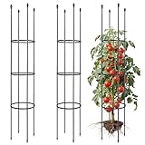 ThxToms 2 Stück Garten Rankhilfe aus Metall Kern 160CM mit 30*Pflanzenclips| Tomatenkäfig Pflanzenstütze Obelisk Klettergerüst Spalier| Rankgitter Kletterhilfe| Kletterpflanzen,Tomaten,Rosen,Gurken