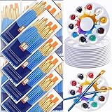 Hlennotor 264-Teiliges Pinsel- und Paletten-Set, 24er-Pack mit Je 240 Pinseln, 24 Farbwannen, Künstler-Acrylpinsel
