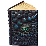 MISNODE 3D Drachen-Hardcover-Skulptur-Tagebuch, handgefertigtes magisches Harz-Handbuch, Tagebuch-Notizblock-Skizzenbuch, Drachen-Geschenke für Frauen & Männer A5, Blau