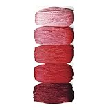 Rayher 53564286 Baumwoll-Garn 'Stitch & Knot', Rottöne, 5 Farben je 10 m (50 m), Kreuzstich-Garnset, Stickgarn Set, Knüpfgarn, Garn für Freundschaftsbänder, Kirschrot