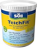 Söll 81794 TeichFit, 1 kg - Grundpflegemittel, Teich Wasseraufbereiter, Stabilisator für Teichwasser im Gartenteich Fischteich Koiteich Schwimmteich