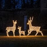 Lights4fun Studley LED Rentier Familie Rentier Weihnachtsfigur Außen Timer Weihnachtsbeleuchtung Außen und Innen
