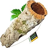 Korkröhre Korktunnel 40 cm lang, Durchmesser = 6-11 cm | Vogelspielzeug, Korkrinde, als Versteck | gereinigt & desinfiziert | Röhre aus Kork für Wellensittiche, Vögel und Nagetiere