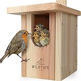 wildtier liebe Vogel Nistkasten Rotkehlchen aus Massiv-Holz, Verschraubt I Nistkästen nach NABU für Vögel, Nistkasten Rotkehlchen, Vogelhaus Brutkasten für Vögel, Wetterfest