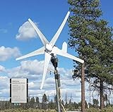 500W Horizontal Windkraftanlage 12V 24V Windturbinen 3-Phasen Generator 5-Blätter Windgenerator Komplettanlage für Stromergänzung,mit MPPT Laderegler (24, Volt)