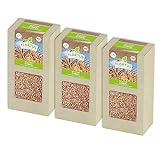 FLORTUS BIO Dinkel Getreide Samen 600g | Alte Sorten Urgetreide zur Herstellung von Dinkelmehl Nudeln Brot Müsli & Microgreens | Sprossen Samen