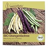Samenliebe BIO Stangenbohnen Samen alte Sorte Mischung aus 3 Sorten Freilandbohnen Bohne 20 Samen samenfestes Gemüse Saatgut für Garten und Freiland BIO Gemüsesamen