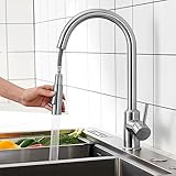 CECIPA Wasserhahn Küche, Mischbatterie Küche mit Hohem Bogen, Hochdruck Küchenarmatur mit Brause Ausziehbar, 360°Schwenkbar Spültischarmatur Küche, G3/8 Anschluss Armatur Küche Edelstahl