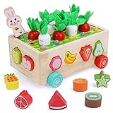 Spielzeug ab 1 Jahr, Geschenke Mädchen Junge 1 2 3 Jahre Baby Spielzeug 6-12 Monate Montessori Holzspielzeug ab 1-2 Jahre Mädchen Motorikspielzeug 12-18 Monate Baby Sensorik Spielzeug 1-4 Jahr Kinder