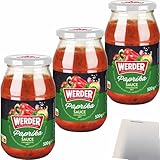 usy Bundle für Werder Paprika Sauce ungarische Art 3er Pack (3x500g Glas) + usy Block