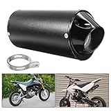 Motorrad Auspuff Schalldämpfer, Btstil 28mm Universal Motorrad Edelstahl Schalldämpfer Hinten Auspuffrohr mit Klemmdichtung für 50cc 110cc 125cc ATV Dirt Pit Quad Bike Motocross