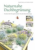 Unser blühendes Dach: Naturnahe Dachbegrünung mit und ohne Solaranlage für mehr Biodiversität und Klimaschutz