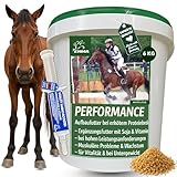 Sojaschrot Pferd & Amino Paste I Aufbaufutter mit Vitamin E Aminosäuren B-Vitamine 6Kg 30ml Zusatzfutter Muskelaufbau Pferd Protein Pulver Gewichtszunahme I Weight Gainer Zunehmen Untergewicht