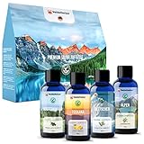 Veddelholzer BIO Saunaaufguss aus 100% naturreinen ätherischen Ölen 4 x 100 ml verschiedene Saunaöle Saunaduft Sauna Zubehör als Geschenkset alles in einem Set