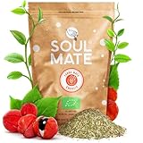 Soul Mate Orgánica Energia 500g - Bio-Mate Tee aus Brasilien mit Guarana, Doppel-Kraft der Anregung, Wunderbarer Geschmack und Aroma, Mit ökologischem Zertifikat