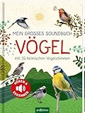 Mein großes Soundbuch Vögel: Mit 35 heimischen Vogelstimmen | Hochwertiges Soundbuch für Kinder ab 5 Jahren