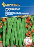 Kiepenkerl Profi-Line Prunkbohnensamen Lady Di - Extra Lange Hülsen & Dunkelrote Blüten, Resistente Rankpflanze, Ideal für Gemüsegärten, Samen Gemüse, Bohnen Samen