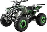 Original Actionbikes Motors Kinder Midiquad ATV S-10 | 4...