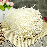 300 Pcs Enoki Pilze Samen, Enoki Mushroom, Inoki Pilze Champignons Frisch Champignons Selber Züchten, Winterharte Kübelpflanzen, Wintergemüse Pflanzen Kaufen Saatgut Alte Sorten Pflanzen