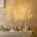 EAMBRITE 2er Set Lichterbaum Lichterzweige für Innen 24...