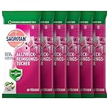 Sagrotan Allzweck-Reinigungstücher Blütenfrische und grüner Apfel, gegen 99,9% der Bakterien, 6er Pack (6 x 60 Stück)