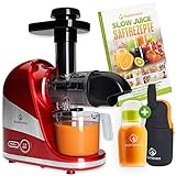 Nutrilovers Slow Juicer - Deutsche Marke - Entsafter Obst und Gemüse Saftpresse elektrisch Kompakt Edelstahl Spülmaschinenfest BPA-frei Inkl. Rezeptbuch, Nutri-App, Trinkflasche