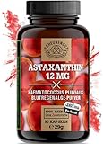 Astaxanthin -12mg- WICHTIG: Oxidationsfrei durch veresterte Struktur I Direktbezug aus Frankreich (keine China Ware) I Zertifiziertes Astaxanthin hochdosiert -90 Stk- SCHEUNENGUT®