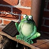 Storm's Gartenzaubereien Wasserspeier Frosch - dunkelgrün aus Keramik mit Solarpumpe für Teich und Miniteich