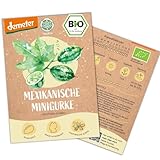 BIO Mexikanische Minigurken Samen, 10 Snackgurken Samen, hohe Keimrate, Demeter zertifiziert & samenfest | Gemüse Saatgut von LOVEPLANTS, für Balkon, Garten, Hochbeet – alte Gemüsesorten