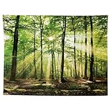 MIGIFTDY Waldbaum Wandteppich Extra Großer Nebliger Wald Wandbehang für Home Office Dorm Indoor und Outdoor Dekoration 150 cm x 200 cm (B)