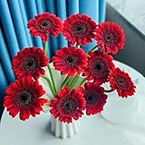 Gerbera samen、 gerbera pflanze samen、 zimmerpflanzen、blumen zum einpflanzen pflanzen garten、Wunderschön leuchtende Blumen mit geschenke für gartenliebhaber、bienenfreundlich blumen 250pcs