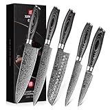 XINZUO 5er Küchenmesser Set 67 Schichten Damaststahl Chefmesser Set, Profi Geschmiedet Damaskus messerset Scharfe Klinge Kochmesser Set -Chef Santoku Tranchier Allzweck Obst Messer -Pakkaholz Griff