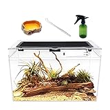 Reptile Growth Terrarium Komplettset, 16' x 8'x 10' Faunarium für,Schnecken,Insekten,Wasserschildkröten，Vogelspinnen,Springspinne,Leopard Gecko,Bärtiger Drache ，Frosch,Aquarium,Einsiedlerkrebs